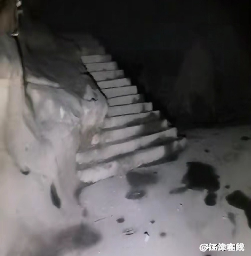 a4cbfbea7b7e4432a7a84333cc378e8b~tplv-tt-origin-web:gif.jpeg?_iz=58558&from=article.jpg