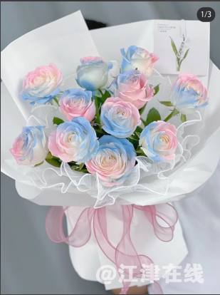 QQ_1747400668297.png