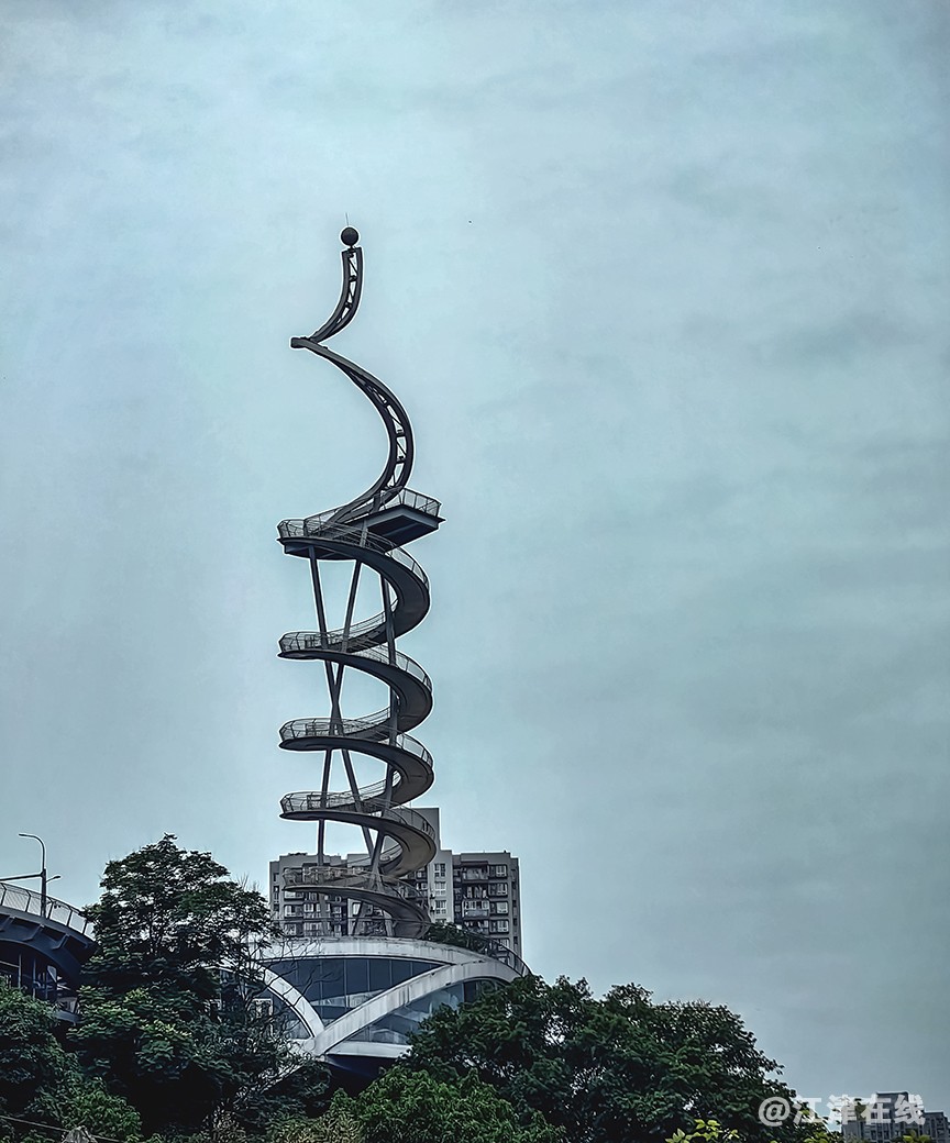 午饭地随拍 (7).jpg