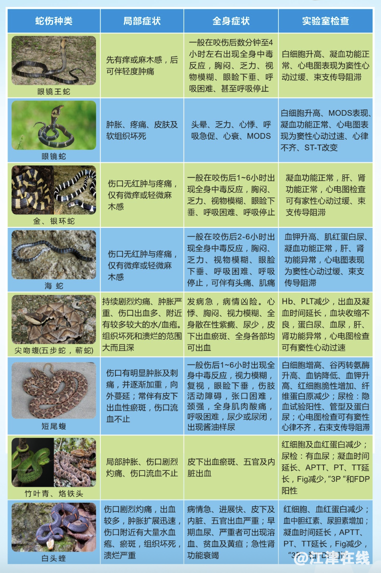 b8f0a600a8311ff55d672f05c3ced1f1.png