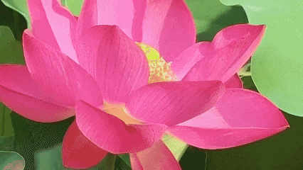 640?wx_fmt=gif&from=appmsg.jpg
