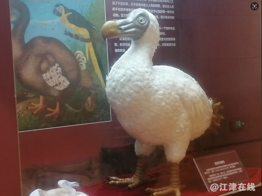 QQ_1753498646572.png