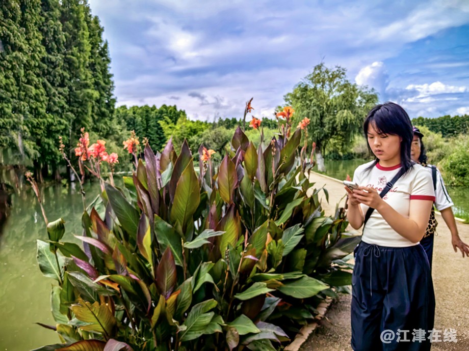 湿地公园 (4).jpg