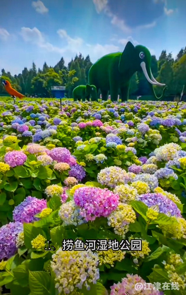 湿地公园 (12).jpg