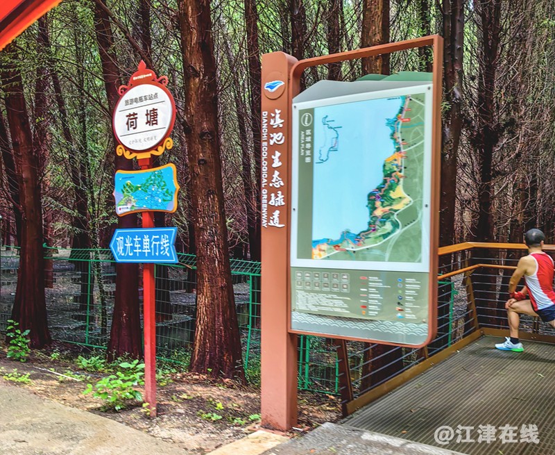 湿地公园 (2-3).jpg