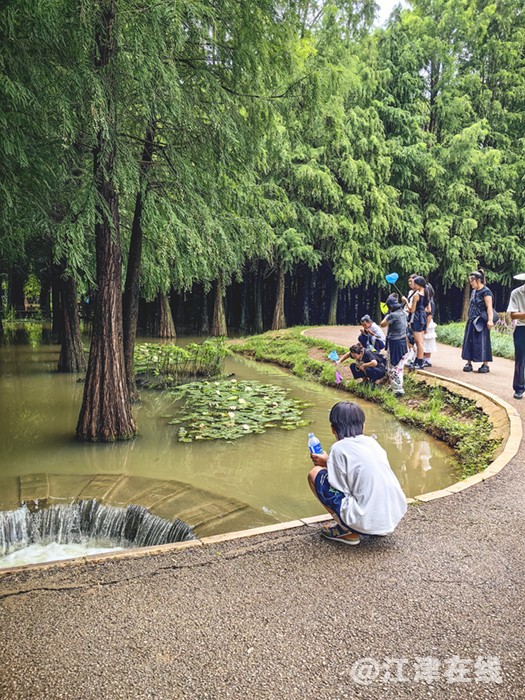 湿地公园 (6-3).jpg