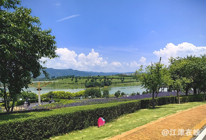 东风韵 (8).jpg