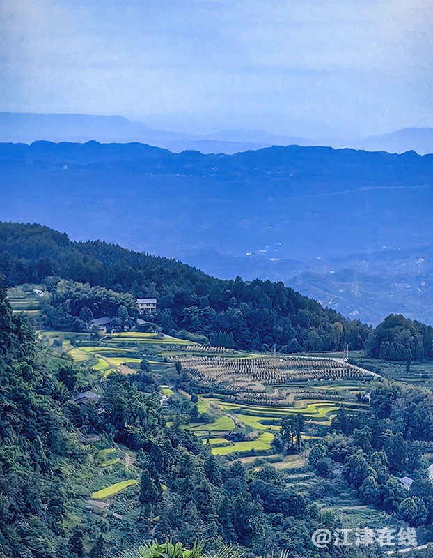 IMG_20250823_191645副本副本.jpg