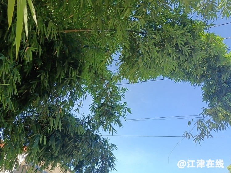 resize%2Cm_lfit%2Cw_750.jpg