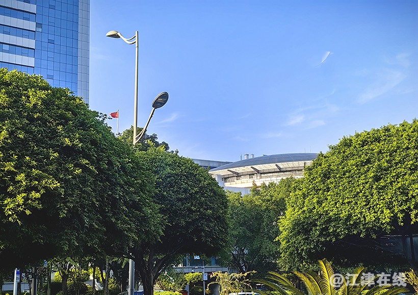 街景 (4).jpg